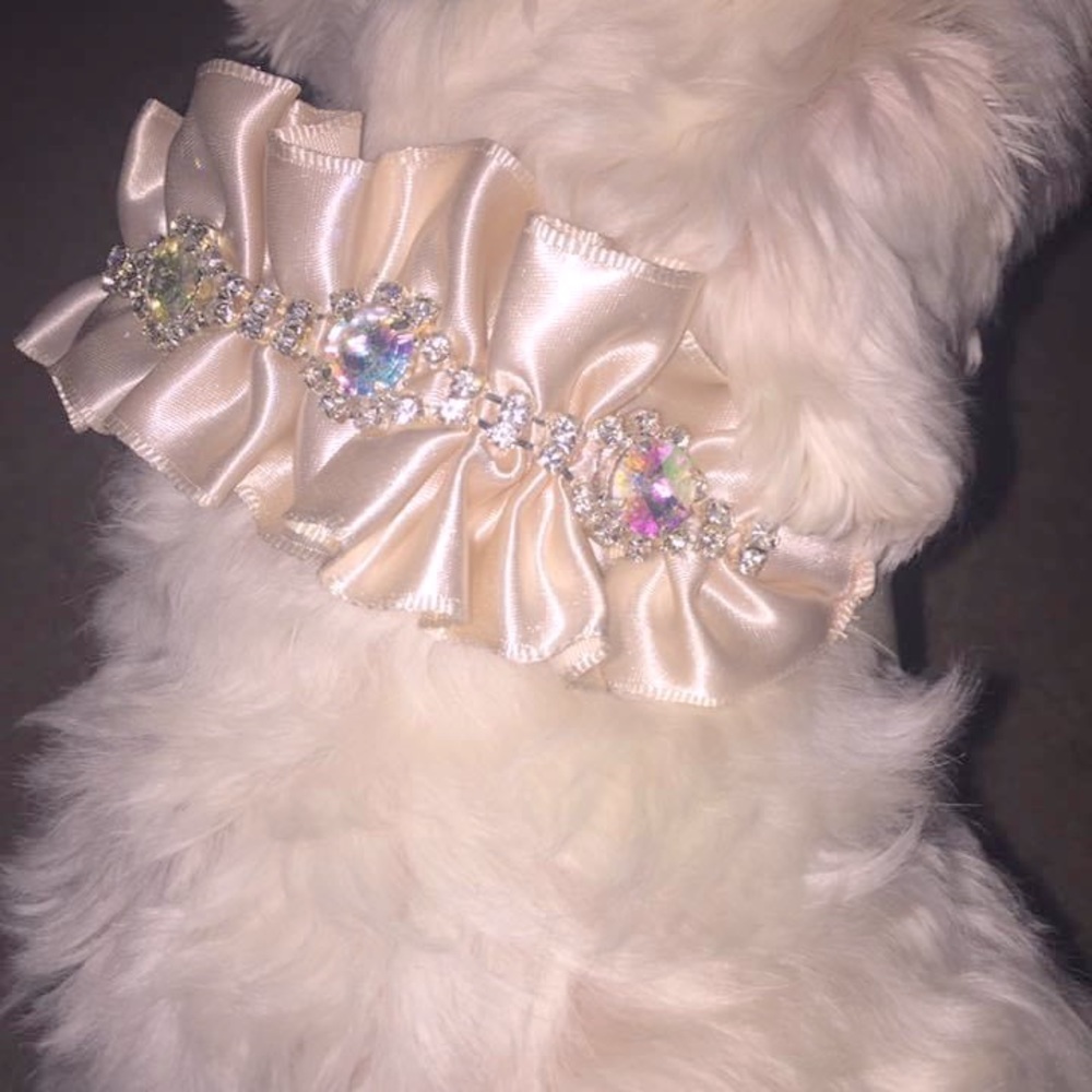 Sassy Satin and Crystal Doggy Collar